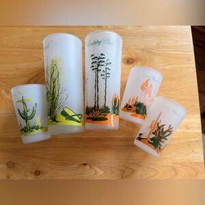 Mid-Century Vintage Desert-Themed Glass Set of 5